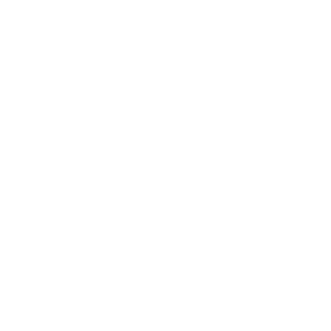 white-icon-globe