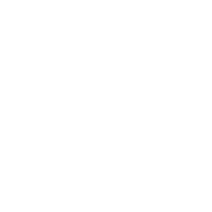 white-icon-pie-chart