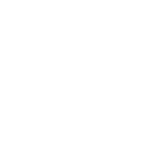 white-icon-secure-credit-card